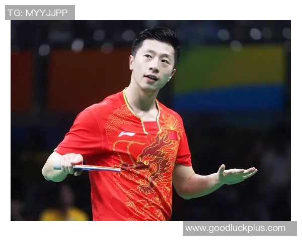 武汉羽毛球队实力对比深度解析与未来发展展望