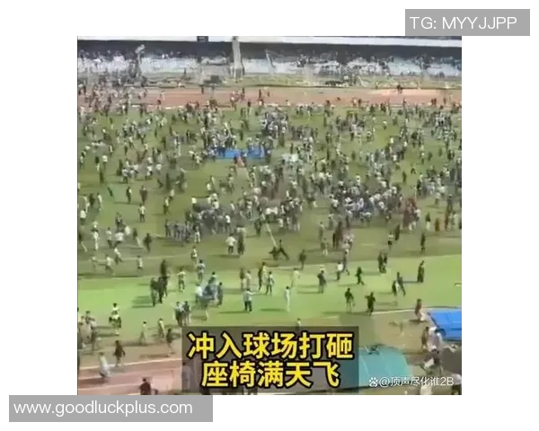 足球明星遭遇球迷扔物事件视频引发热议背后真相揭秘